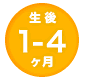 生後1-4ヶ月