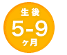 月齢マーク 生後5-9ヶ月