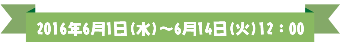 応募期間 2016年6月1日~6月14日