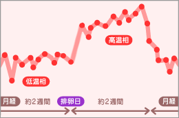 基礎体温で高温相が3週間続いているとき