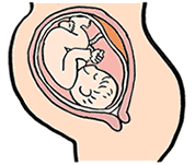 妊娠9ヶ月 妊娠32週 33週 34週 35週 妊娠後期 のからだと心の変化 妊娠 出産 育児に関する総合情報サイト ベビカム