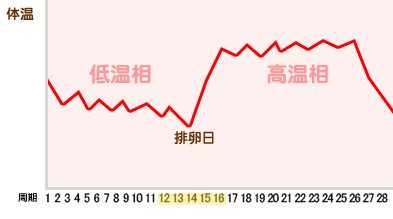 排卵日グラフ 妊娠しやすい時期