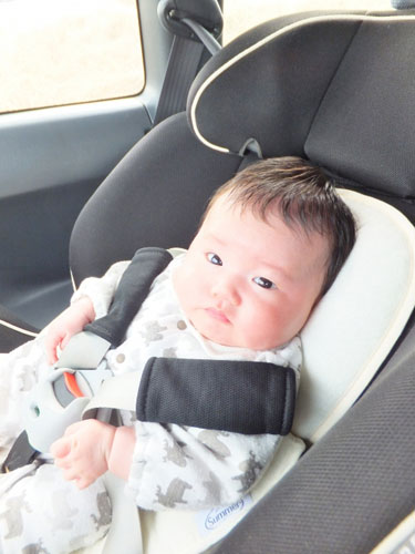 チャイルドシートに乗った赤ちゃんの写真