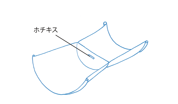 カタツムリの作り方
