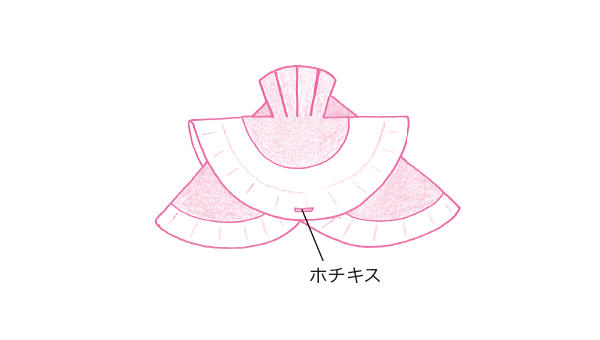 えぼし兜の作り方