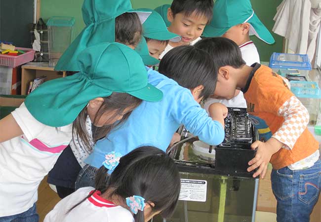 山梨大学附属幼稚園の様子