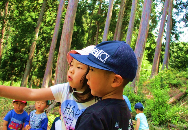 保育を進めてきて 写真