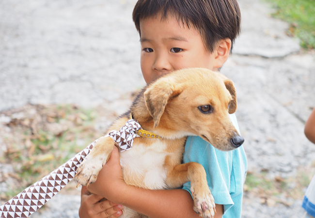 迷子犬「にじ」とうさぎ小屋