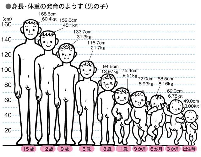 身長 体重の発育のようす 0 15歳 子ども医学館 妊娠 出産 育児に関する総合情報サイト ベビカム