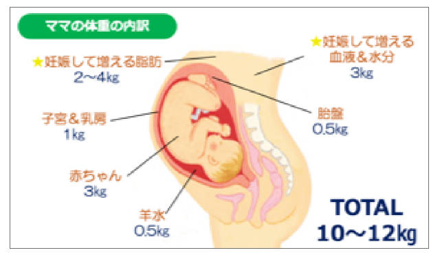 資料例:ママの体重の内訳