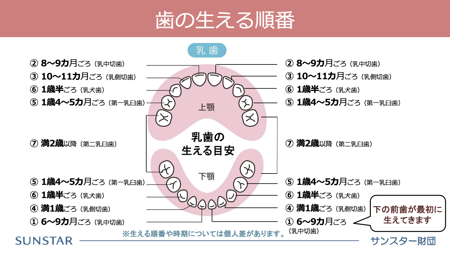 妊娠後期のお口ケア ベビカム両親学級スライドより転載