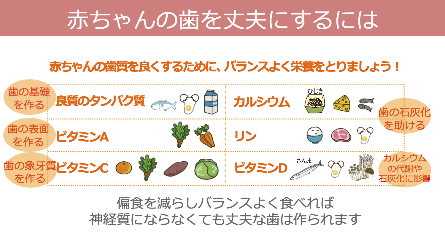 赤ちゃんの歯を丈夫にするために必要な栄養分 ベビカム両親学級スライドより転載