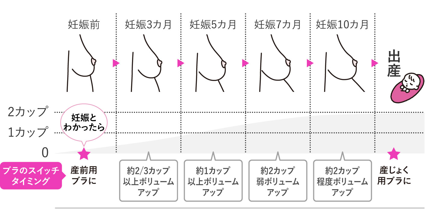 出産までに約2カップも大きくなる