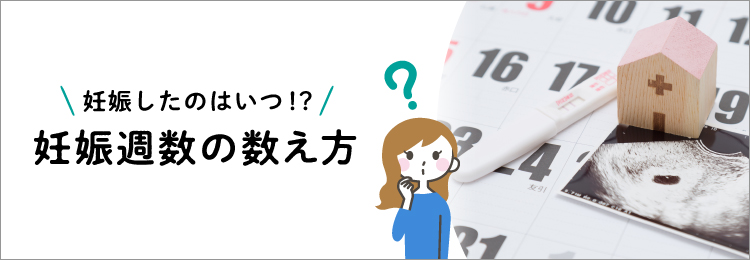 妊娠週数の数え方