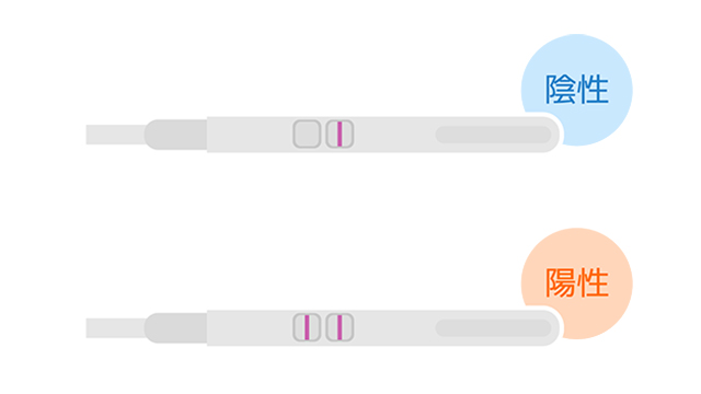 妊娠検査薬のしくみと使い方