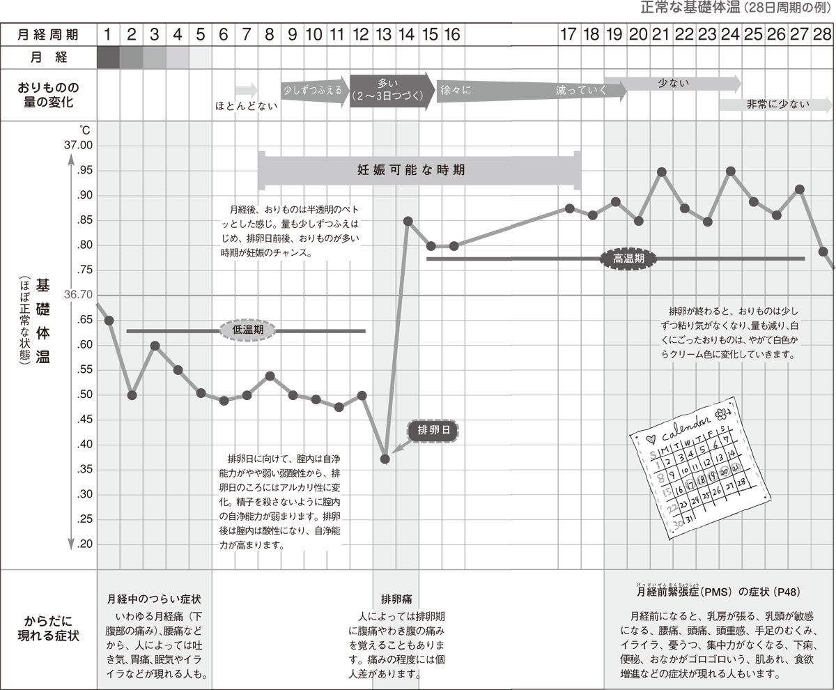 基礎体温と妊娠のしくみ ウィメンズ メディカ 妊娠 出産 育児に関する総合情報サイト ベビカム