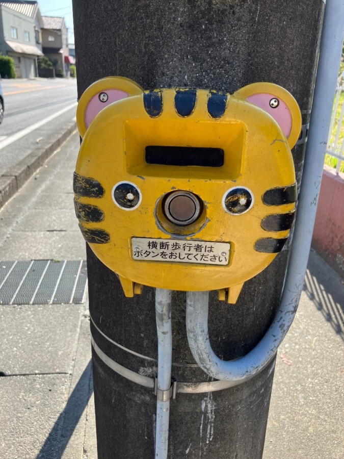 お散歩でみつけた！