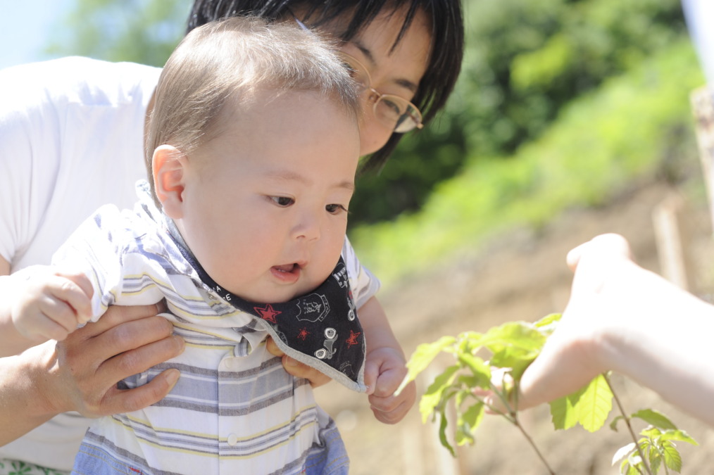 【参加無料！全員特典あり】家族で一生の思い出に。赤ちゃん誕生記念に植樹を