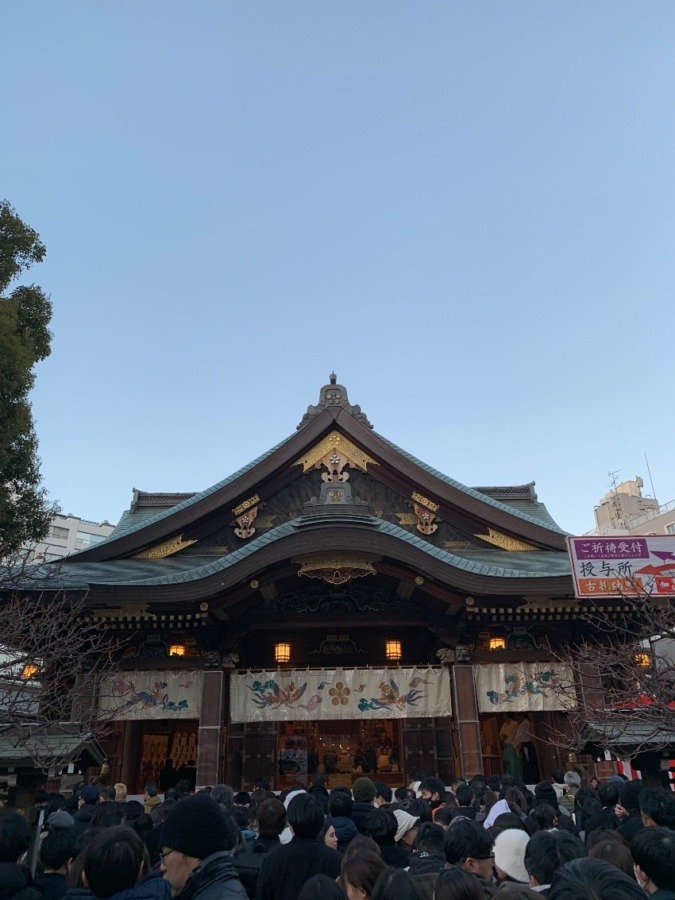 初詣 行きました??