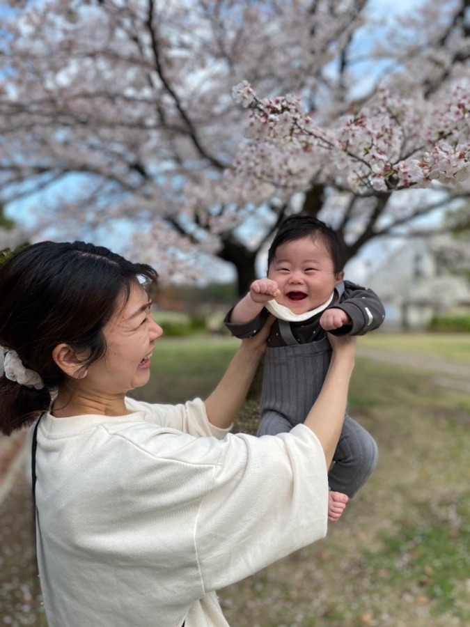 私の桜フォト