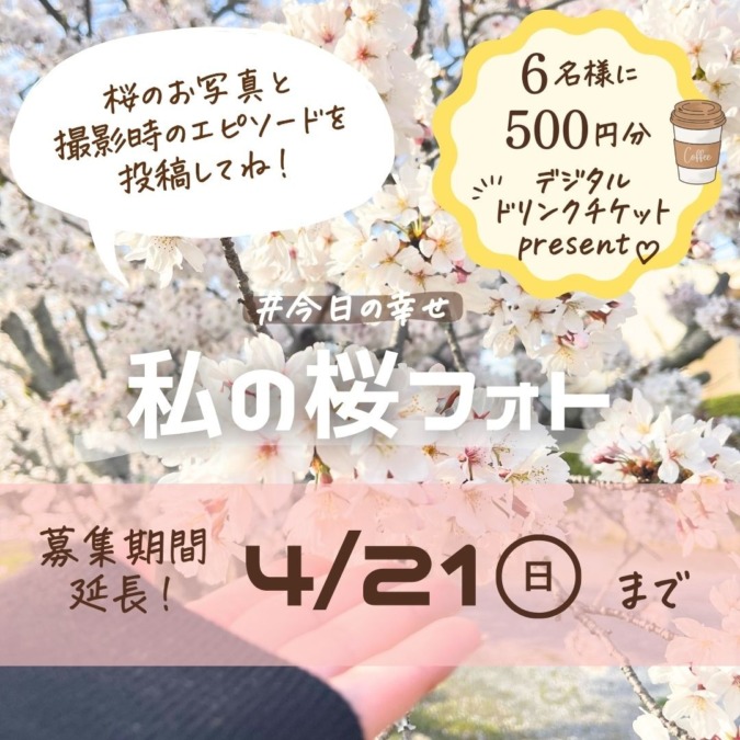 【募集】私の桜フォト🌸投稿でドリンクチケット当たる！