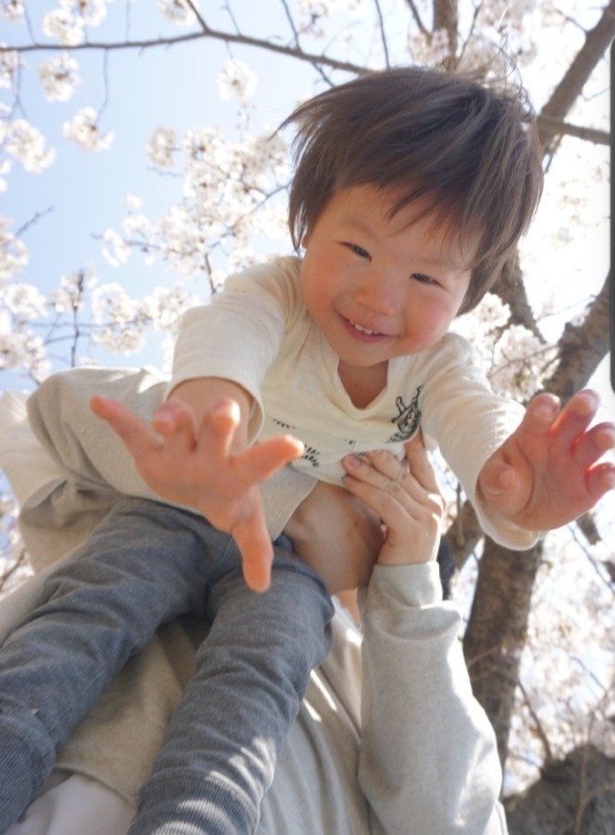 私の桜フォト
