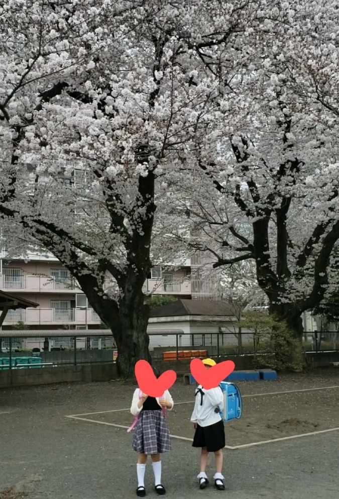 私の桜フォト
