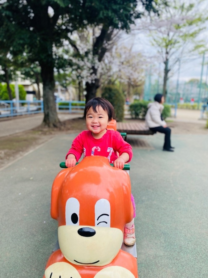 桜が咲く公園をワンワンで駆け抜けて