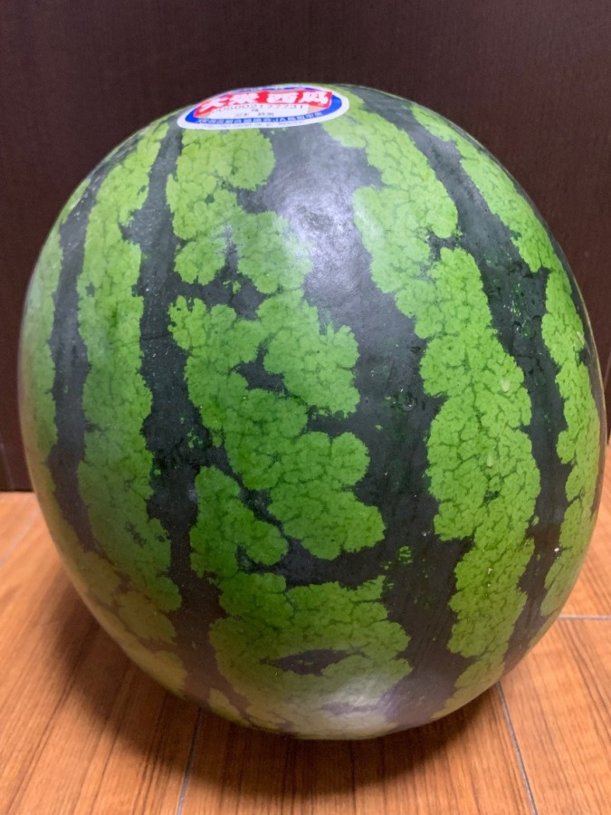 🍉スイカ🍉