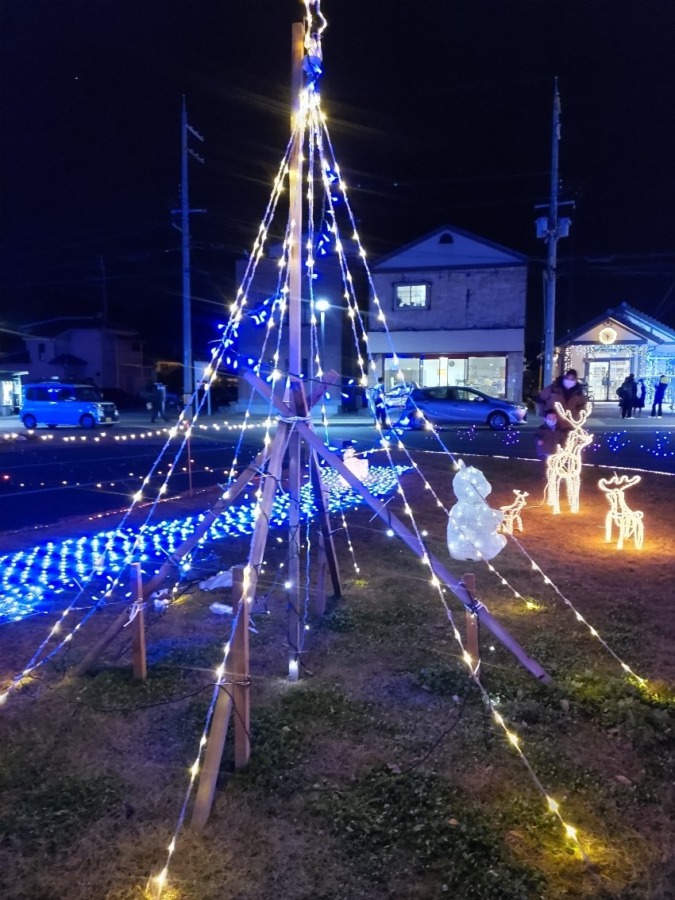 クリスマス