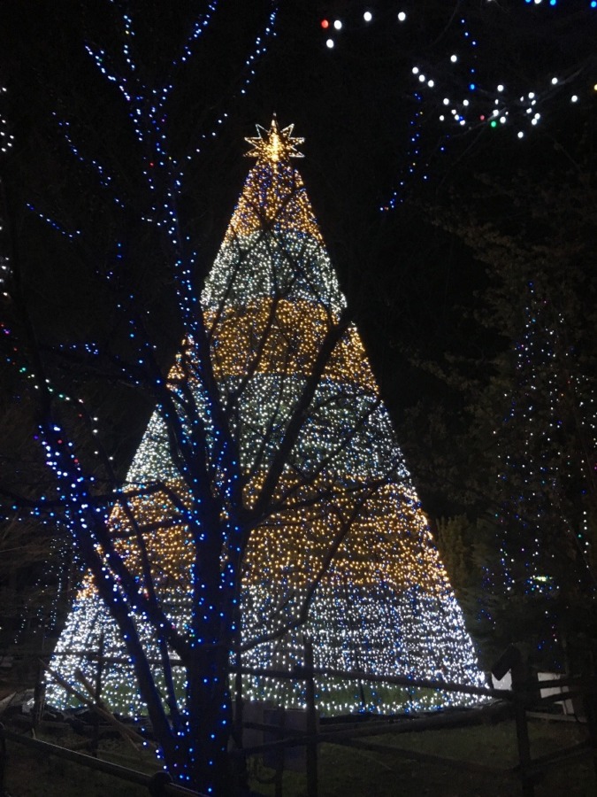 クリスマスプレゼント