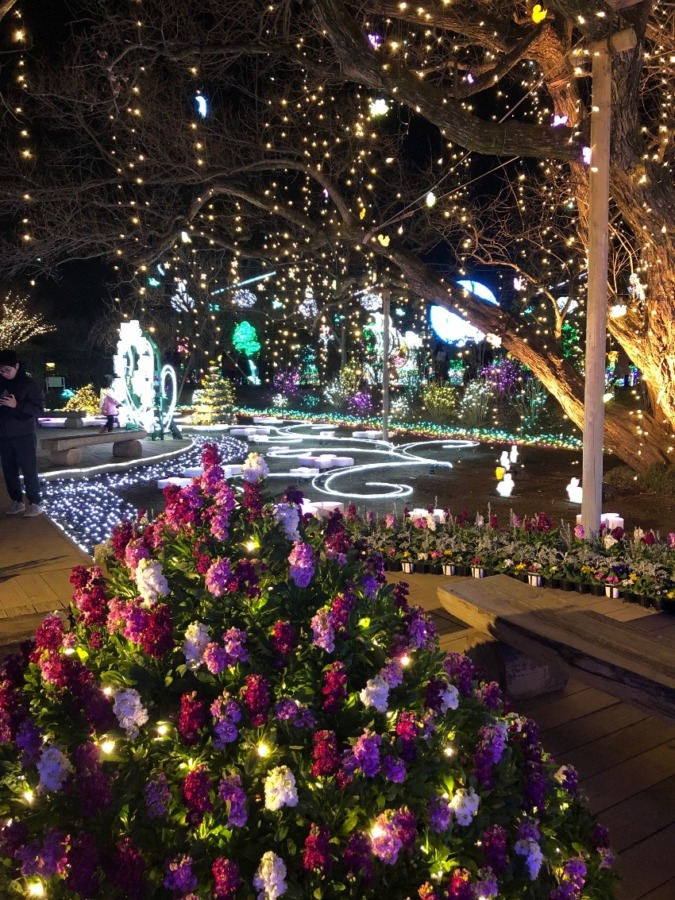 クリスマスプレゼント