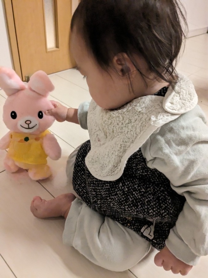 イワヤ　りずふぃーず　うさぎさん