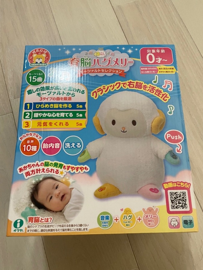 イワヤ　育脳ハグメリー