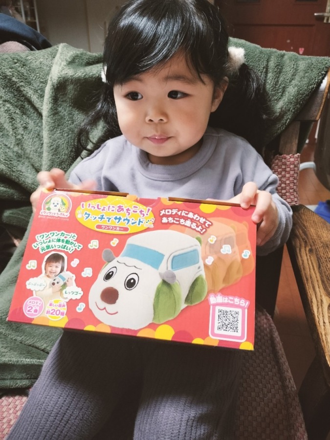 イワヤ　ワンワンカー
