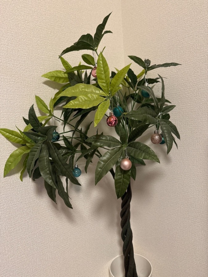 クリスマスプレゼント
