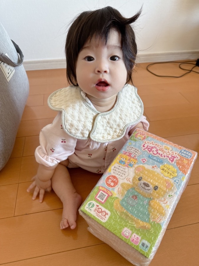 イワヤ りずふぃーず くまさん