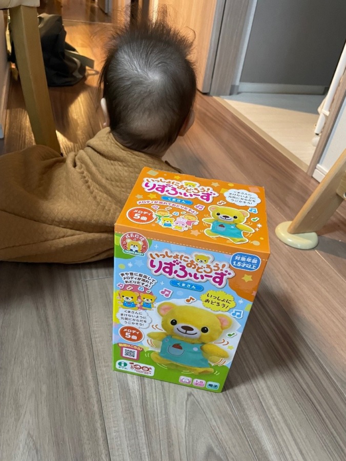 「イワヤ　りずふぃーず　くまさん」