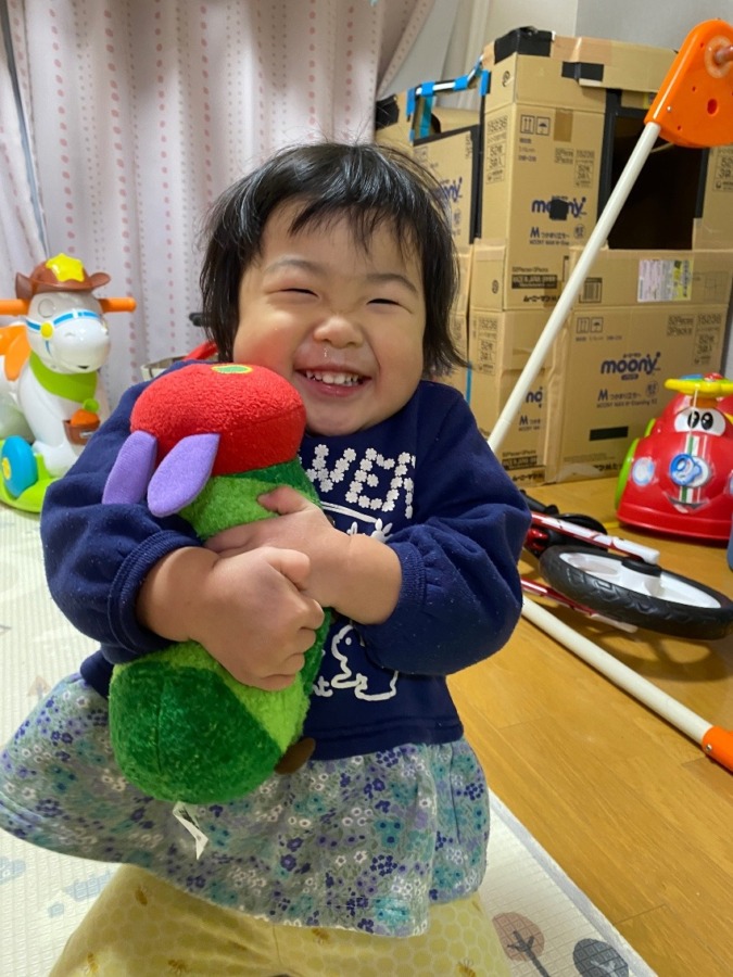 イワヤ　はらぺこあおむし