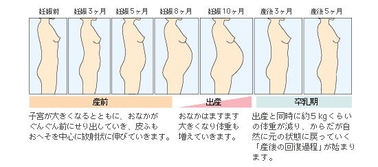 妊娠するとからだはどう変わるの ワコールでエンジョイマタニティ 妊娠 出産 育児に関する総合情報サイト ベビカム