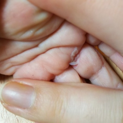 手のひらの皮が 子育て期 生後5ヶ月 6ヶ月 7ヶ月 8ヶ月 9ヶ月 ベビカム相談室 ベビカム