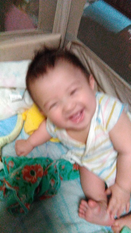 半年ぐらい? ID:10622 生後0歳5ヶ月(168日目)の写真