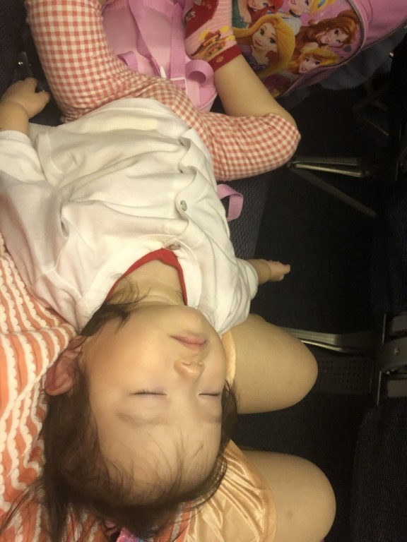 北海道まで移動中の機内にて、ぐっすり眠ってます。飛行機の中でも、よく寝る子なので移動中が楽で助かります。 #家族 #おでかけ