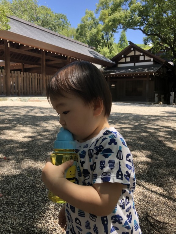 熱田神宮 ID:5616 生後1歳6ヶ月（568日目）の写真