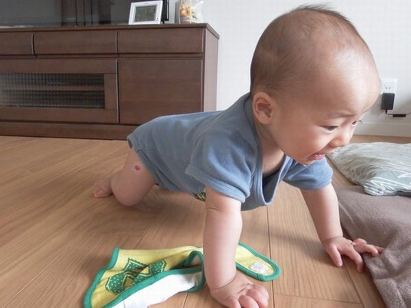 ズリバイ バタフライ型 セイちゃん生後6ヶ月15日 日記 こみさんさんのブログ 妊娠 出産 育児に関する総合情報サイト ベビカム
