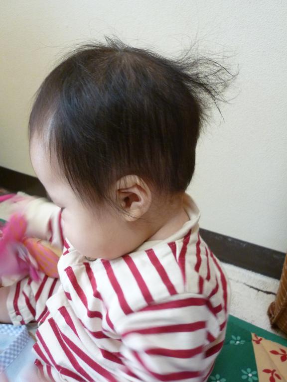 アルファベット順 ハイジャック 徹底的に 赤ちゃん 髪の毛 チリチリ シマウマ 感じ 立方体