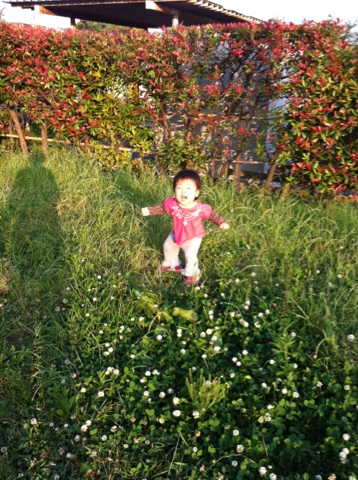 赤ちゃん見えた １才９ヶ月２０日 ８w０d 日記 こっとちゃんさんのブログ 妊娠 出産 育児に関する総合情報サイト ベビカム