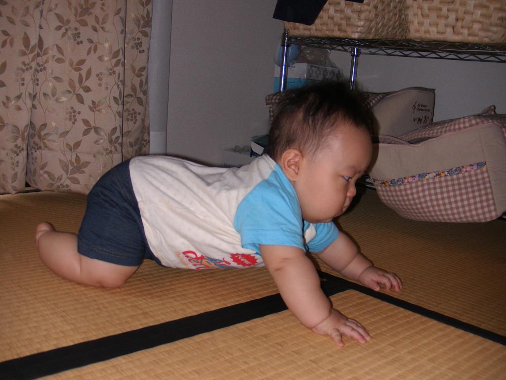 はいはいの準備 日記 まーちゃん マーさんのブログ 妊娠 出産 育児に関する総合情報サイト ベビカム