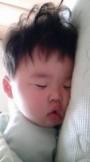 虎のかぁたん