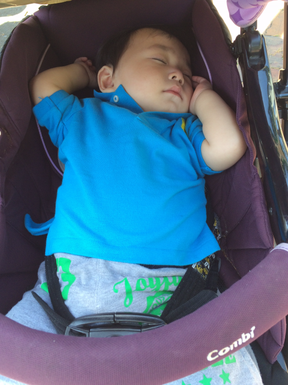 としまえんへ 日記 Whistlerさんのブログ 妊娠 出産 育児に関する総合情報サイト ベビカム